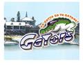 Gator's Car Show Treasure Island, Florida